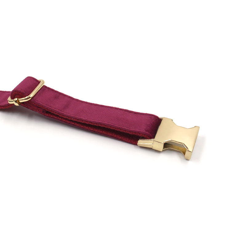 KFX-6762813 Soft Burgundy Velvet Dog Collar with Engravable Metal Clasp, Bow Tie and Leash Included