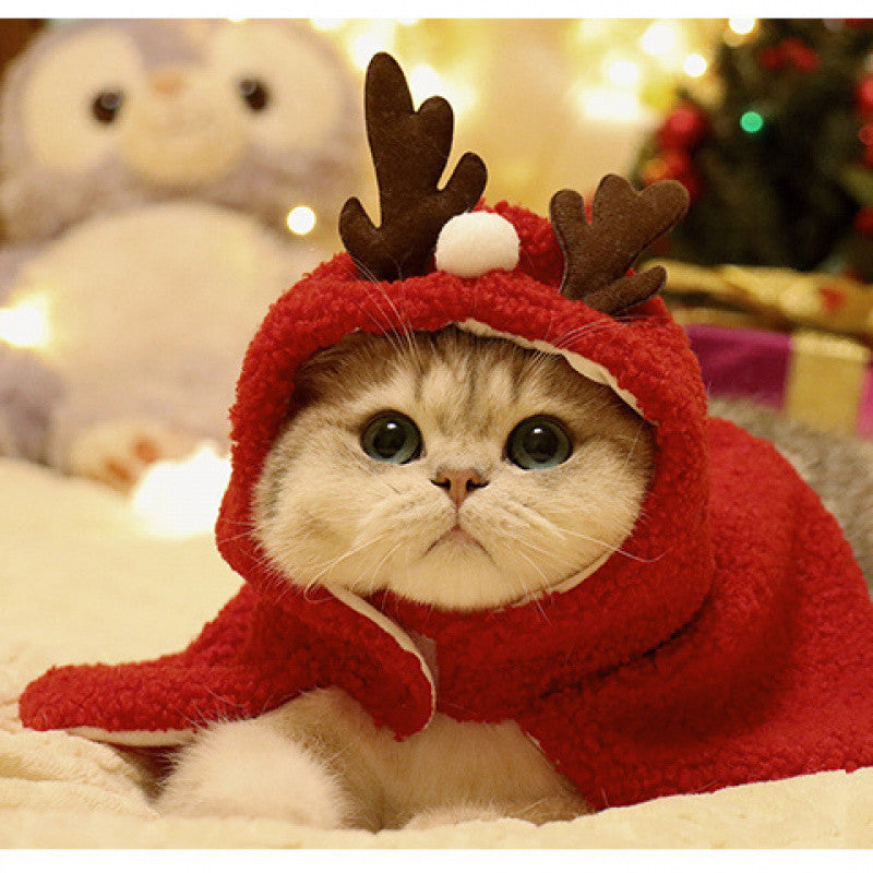 KFX-6767293 Cozy Pet Antlers Hat and Cloak for Autumn and Winter Fun