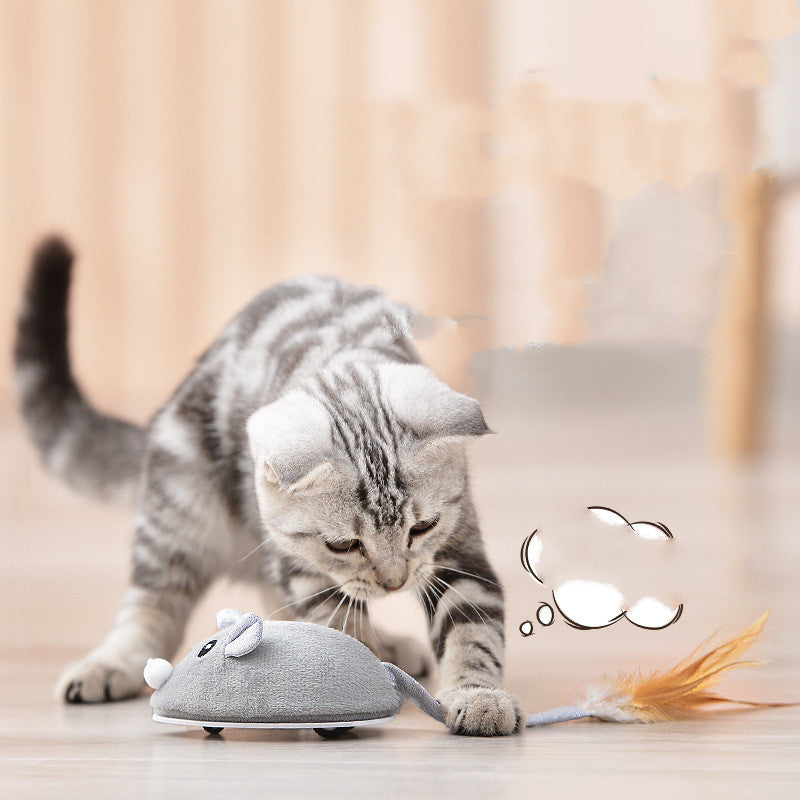 KFX-6767549 USB Rechargeable Crawling Mouse Cat Toy - Biting Toy for Interactive Play