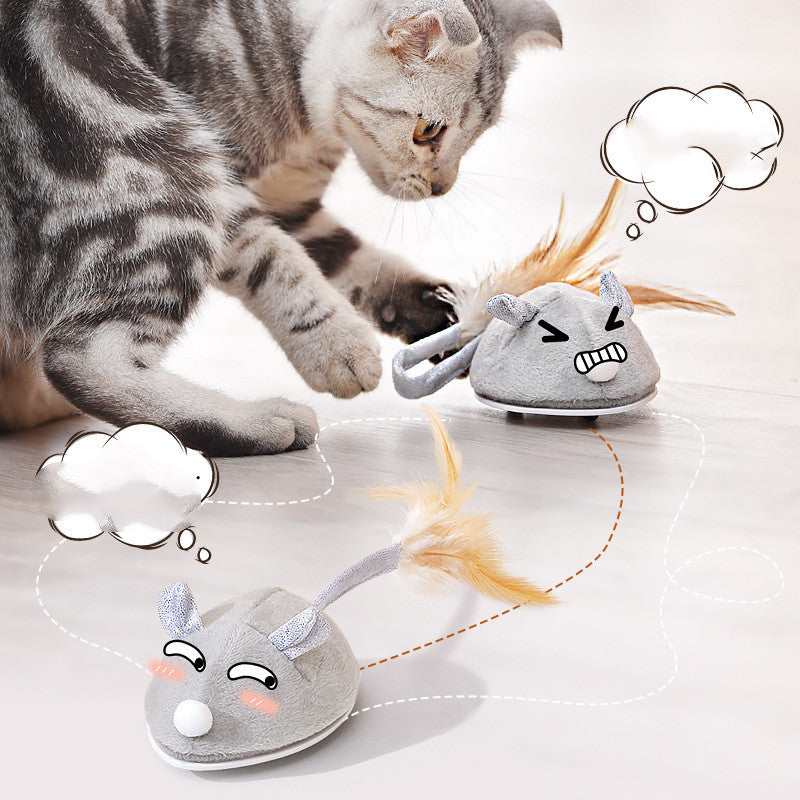 KFX-6767549 USB Rechargeable Crawling Mouse Cat Toy - Biting Toy for Interactive Play