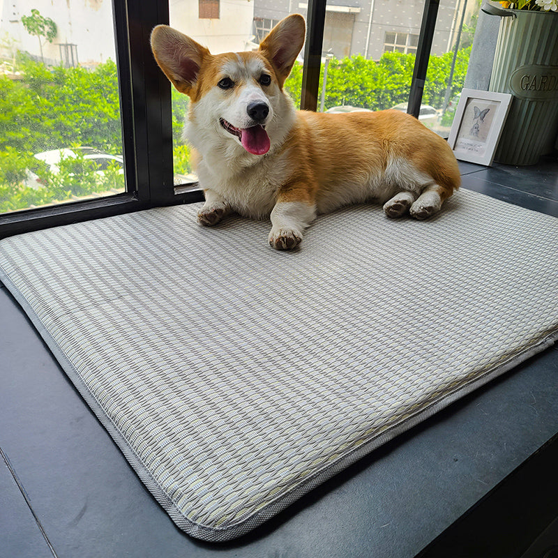 KFX-6771133 Ice Silk Summer Dog Mat - Anti-Bite, Non-Stick Hair Cat Mattress - Available in Multiple Sizes