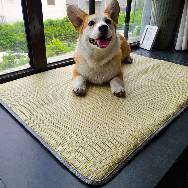 KFX-6771133 Ice Silk Summer Dog Mat - Anti-Bite, Non-Stick Hair Cat Mattress - Available in Multiple Sizes