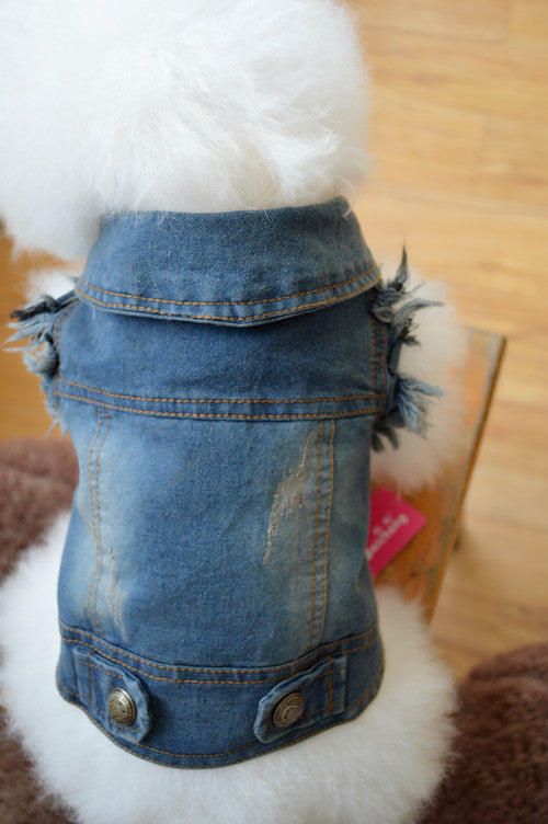 KFX-6780605 Teddy VIP Retro Denim Vest for Dogs - Winter Bichon Clothing