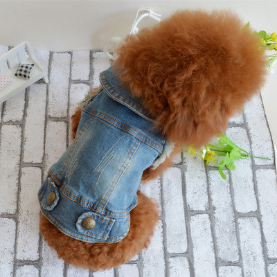 KFX-6780605 Teddy VIP Retro Denim Vest for Dogs - Winter Bichon Clothing
