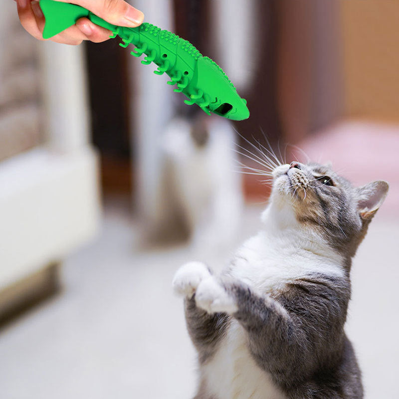 KFX-6789565 Silicone Cat Toothbrush Toy with Natural Rubber for Teeth Cleaning and Biting Fun