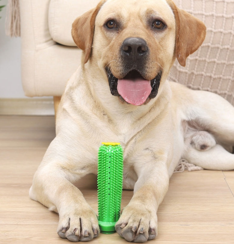 KFX-6794557 Durable TPR Chew Toy Leak Feeder - Cactus Design for Teething Pets in Two Sizes
