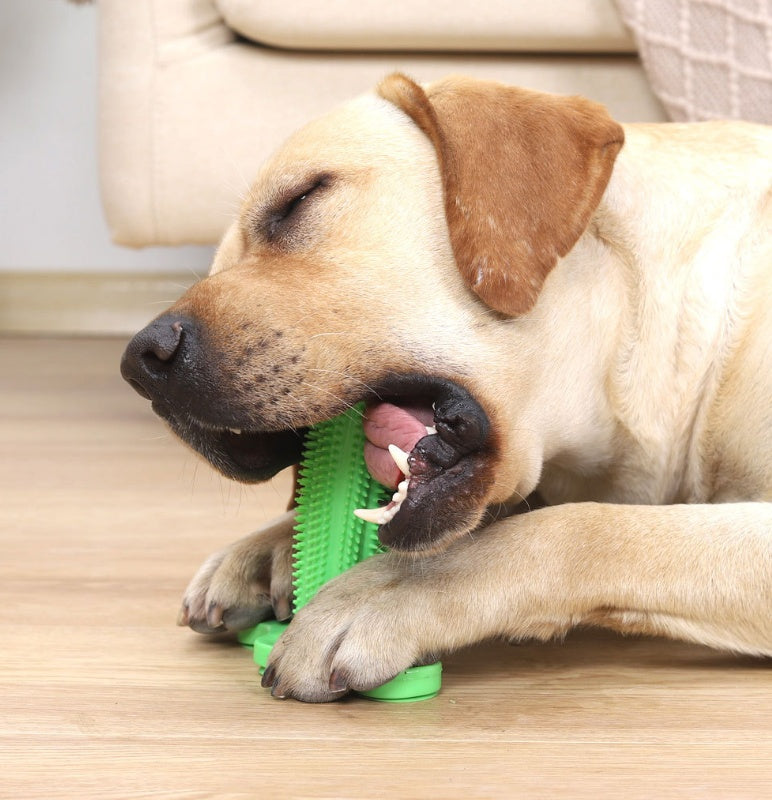 KFX-6794557 Durable TPR Chew Toy Leak Feeder - Cactus Design for Teething Pets in Two Sizes
