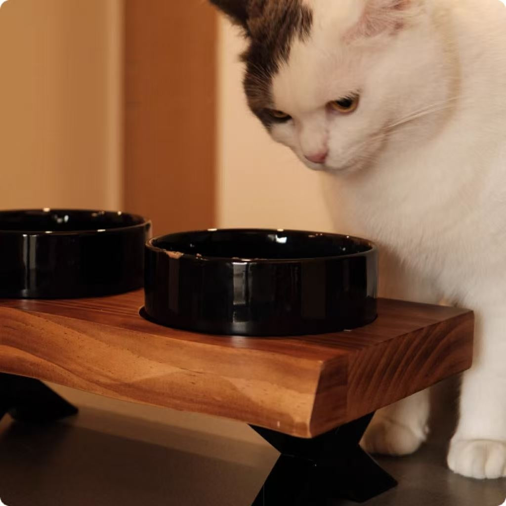 KFX-6795709 Stylish Anti-Tumble Wooden Frame Ceramic Pet Bowl Set in Various Colors