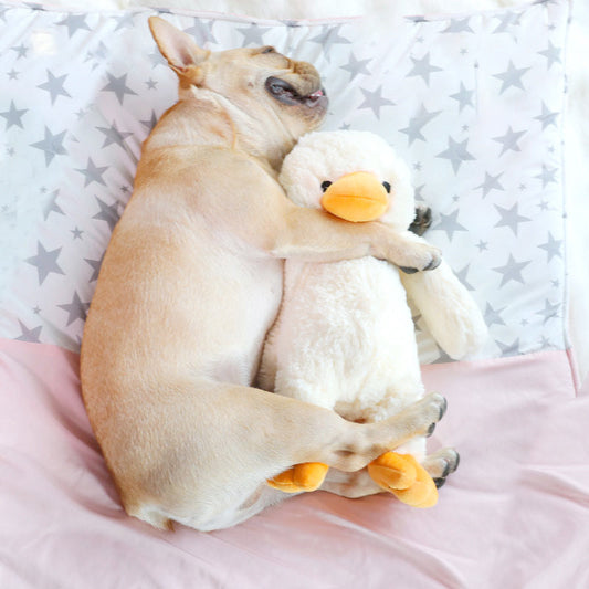 KFX-6799165 Plush Duckling Vocal Toy - Interactive Bite Toy for Dogs