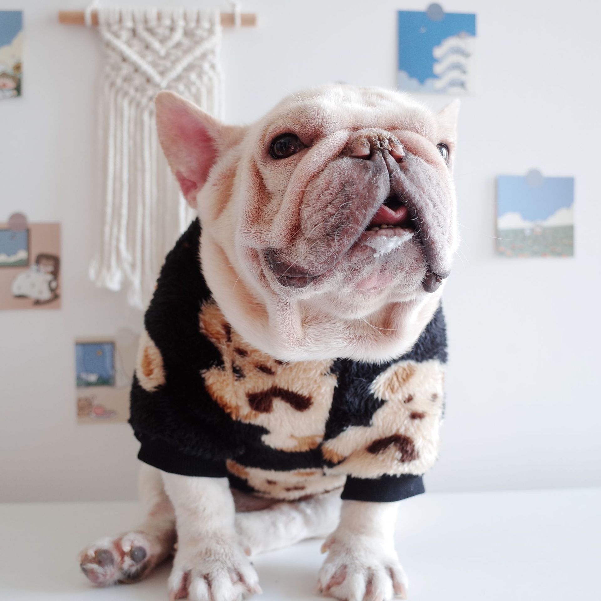 KFX-6800061 Dog Warm Plush Bear Print Two-Legged Winter Clothes in Black and White