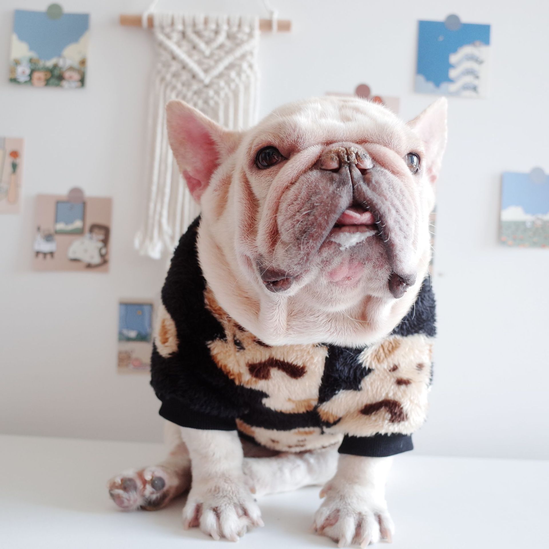 KFX-6800061 Dog Warm Plush Bear Print Two-Legged Winter Clothes in Black and White