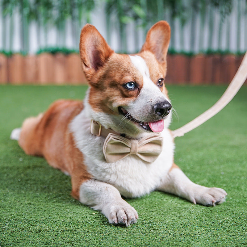 KFX-6800957 Nude Velvet Dog Collar with Bow - Casual Polyester Design for All Seasons