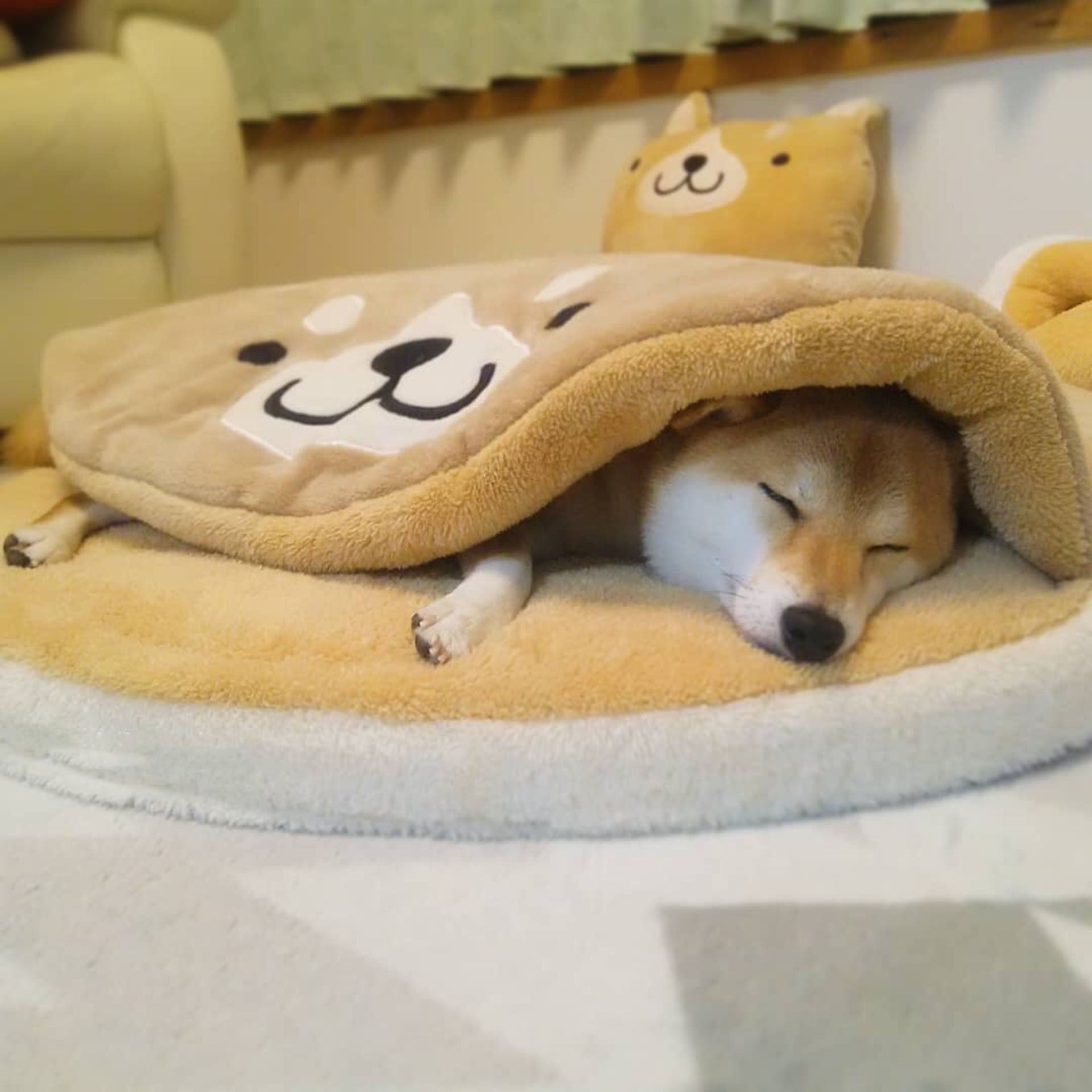 KFX-6815037 Corgi Dorayaki Plush Sleeping Mat for Cats and Dogs, Soft Flannel Pet Nest, 85cm Diameter