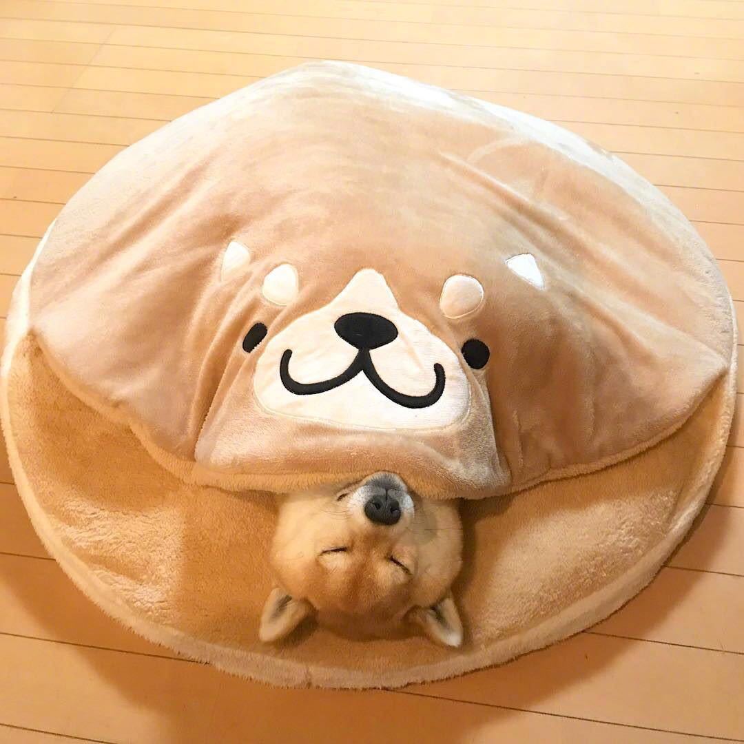 KFX-6815037 Corgi Dorayaki Plush Sleeping Mat for Cats and Dogs, Soft Flannel Pet Nest, 85cm Diameter