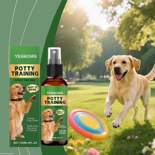 KFX-6818621 Dog Potty Training Spray with Catnip Extract - Easy Indoor Training Solution