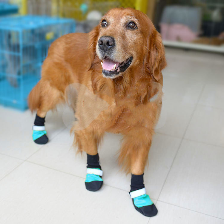 KFX-6823357 Durable Oxford Pet Shoes for All Seasons with Non-Slip Sole and Comfortable Cotton Insole