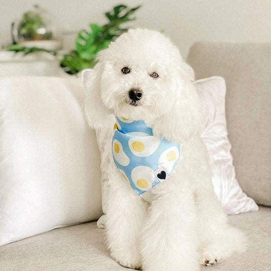 KFX-6824125 Pet Saliva Towel Triangle Scarf in Graffiti Pattern - Adjustable Sizes Available
