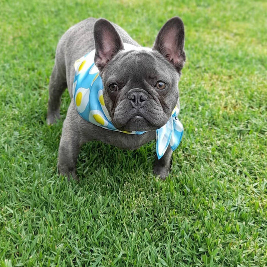 KFX-6824125 Pet Saliva Towel Triangle Scarf in Graffiti Pattern - Adjustable Sizes Available