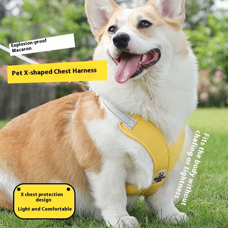 KFX-6833725 Pet Vest with Hand Holding Rope - Available in Pink, Green, Yellow, and Blue, Made of Durable Polyester