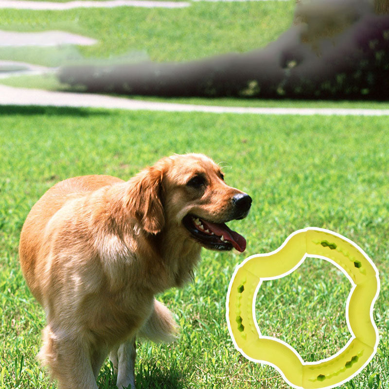 KFX-6835517 Durable TPR Dog Chew Toy for Medium to Large Dogs - Fun Leaky Food Ring Design