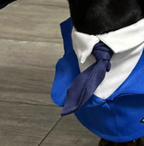 KFX-6837693 Dachshund Halloween Costume - Funny Captain & Pilot Outfits for Pets with Scarf Option
