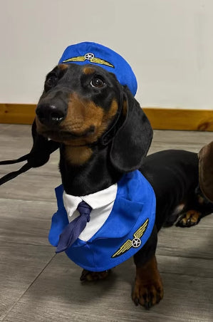 KFX-6837693 Dachshund Halloween Costume - Funny Captain & Pilot Outfits for Pets with Scarf Option