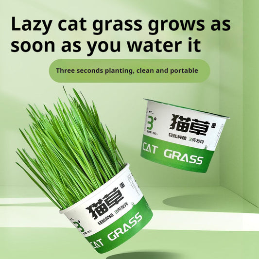 KFX-6843837 Hydroponic Cat Grass Instant Noodles - Digestive Snack with Plant Fiber and Vitamins