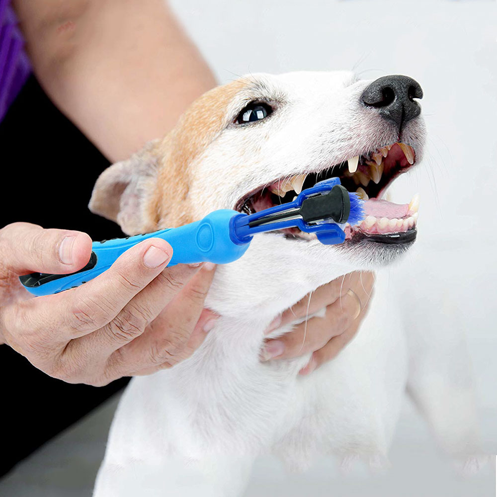 KFX-6851389 Pet Dental Care Plush Toothbrush for Dogs and Cats - Cleaning Supplies for Bad Breath and Tartar Removal