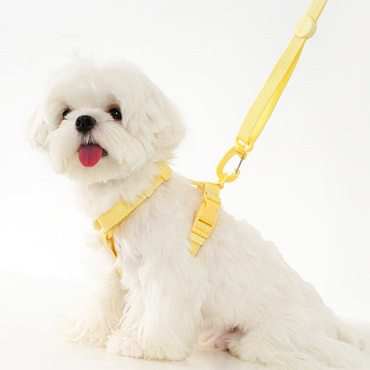 KFX-6853309 Korean Pet Macaron H-Type Collar and Lead Rope for Cats and Dogs in Multiple Colors