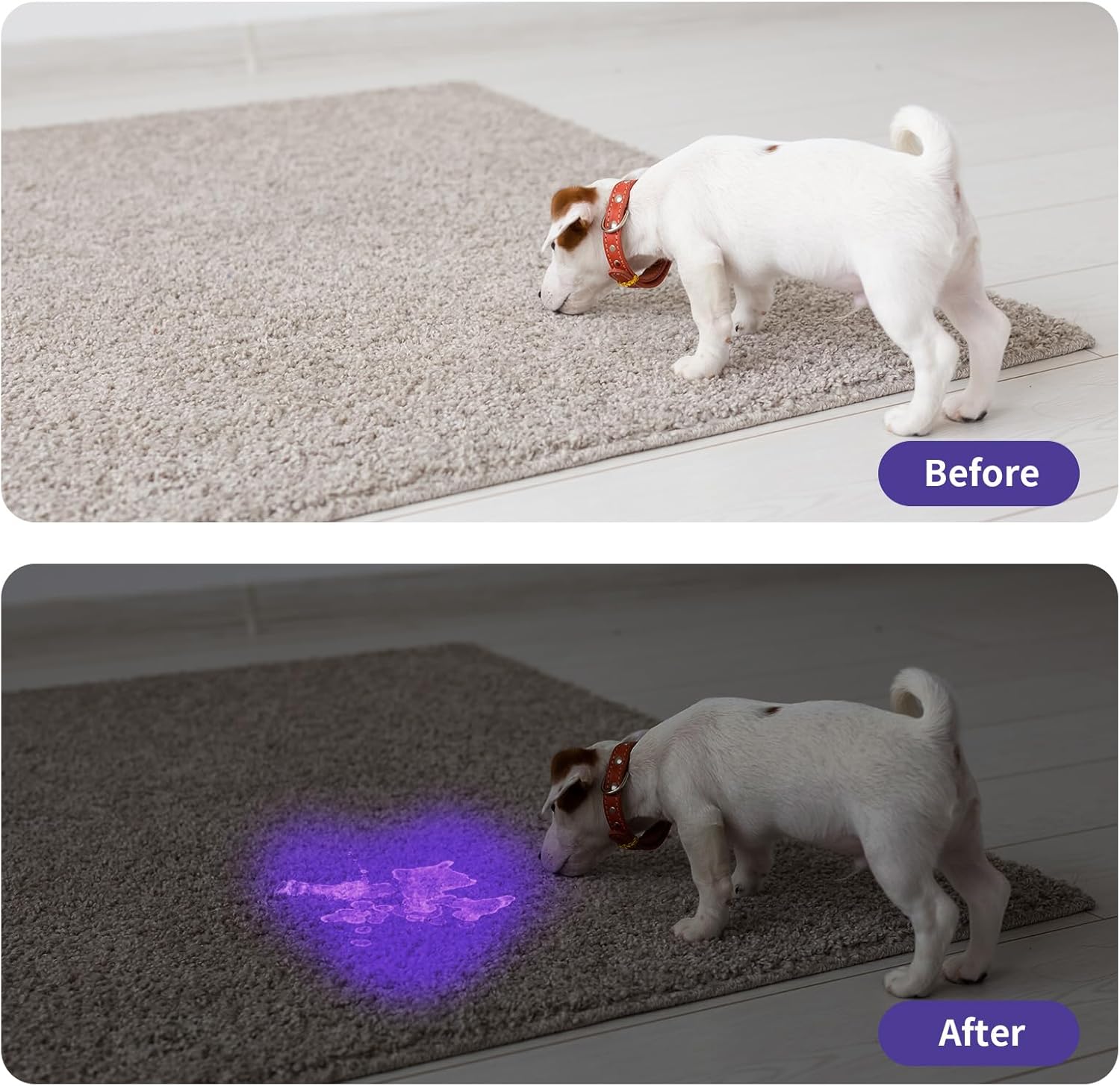 KFX-6856765 Mini LED UV Blacklight Flashlight for Detecting Pet Urine Stains, Bed Bugs, and Scorpions - Portable and Waterproof