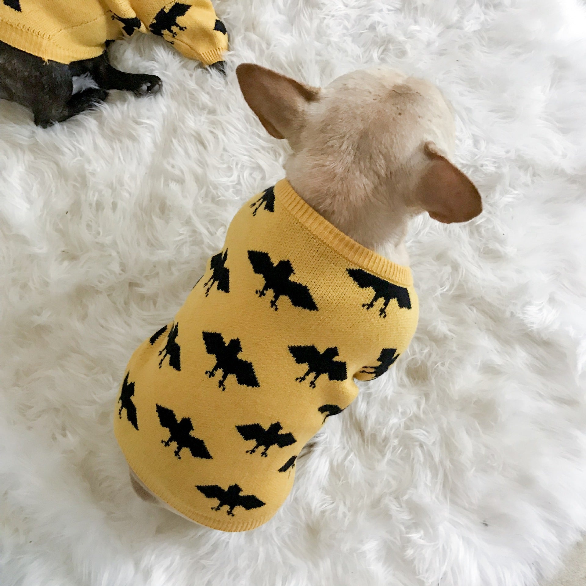 KFX-6863037 Warm Core-Spun Wool Pet Sweater for All Genders