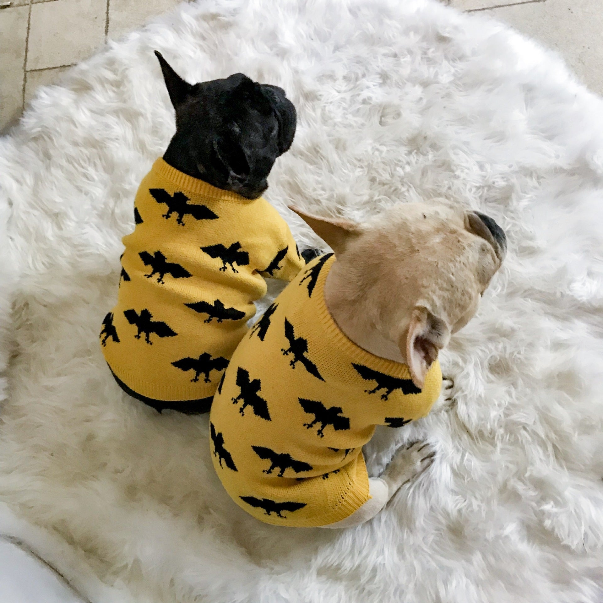 KFX-6863037 Warm Core-Spun Wool Pet Sweater for All Genders