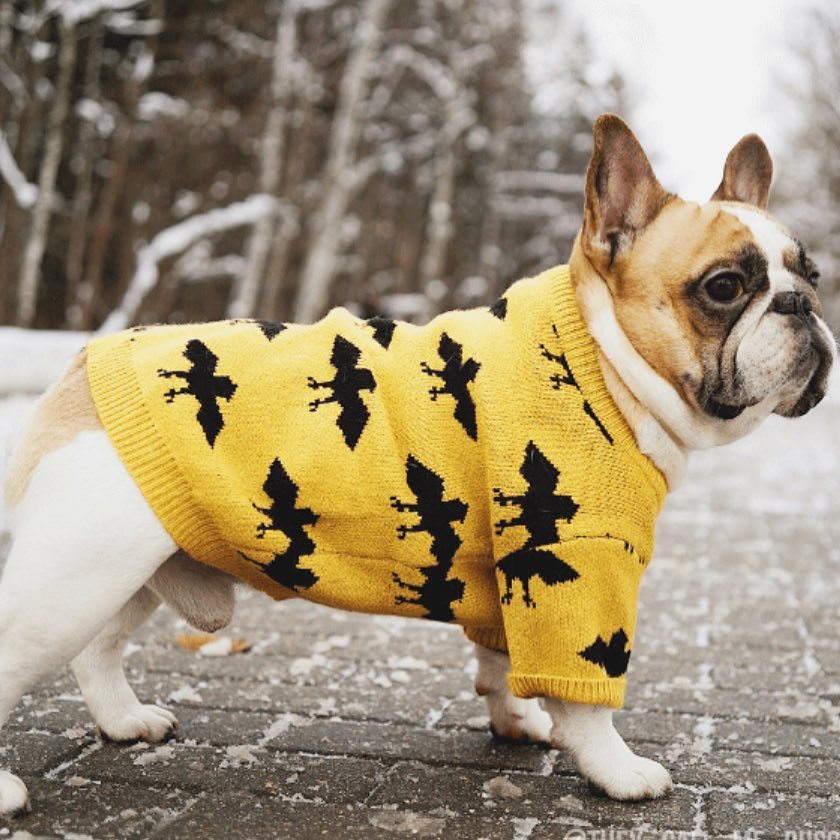 KFX-6863037 Warm Core-Spun Wool Pet Sweater for All Genders
