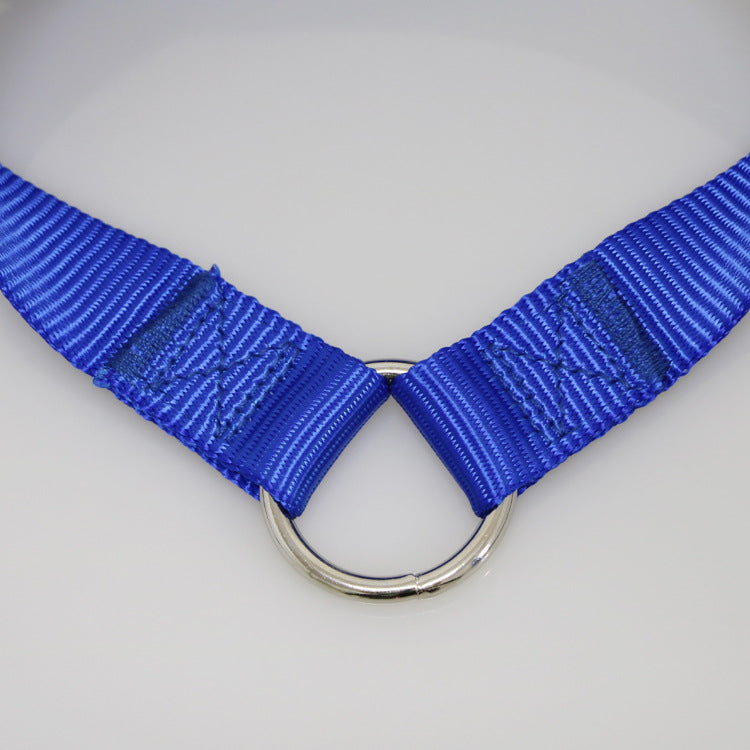 KFX-6864829 Double-Headed Pet Traction Leash - Durable Nylon with Metal Hook - Available in Multiple Colors