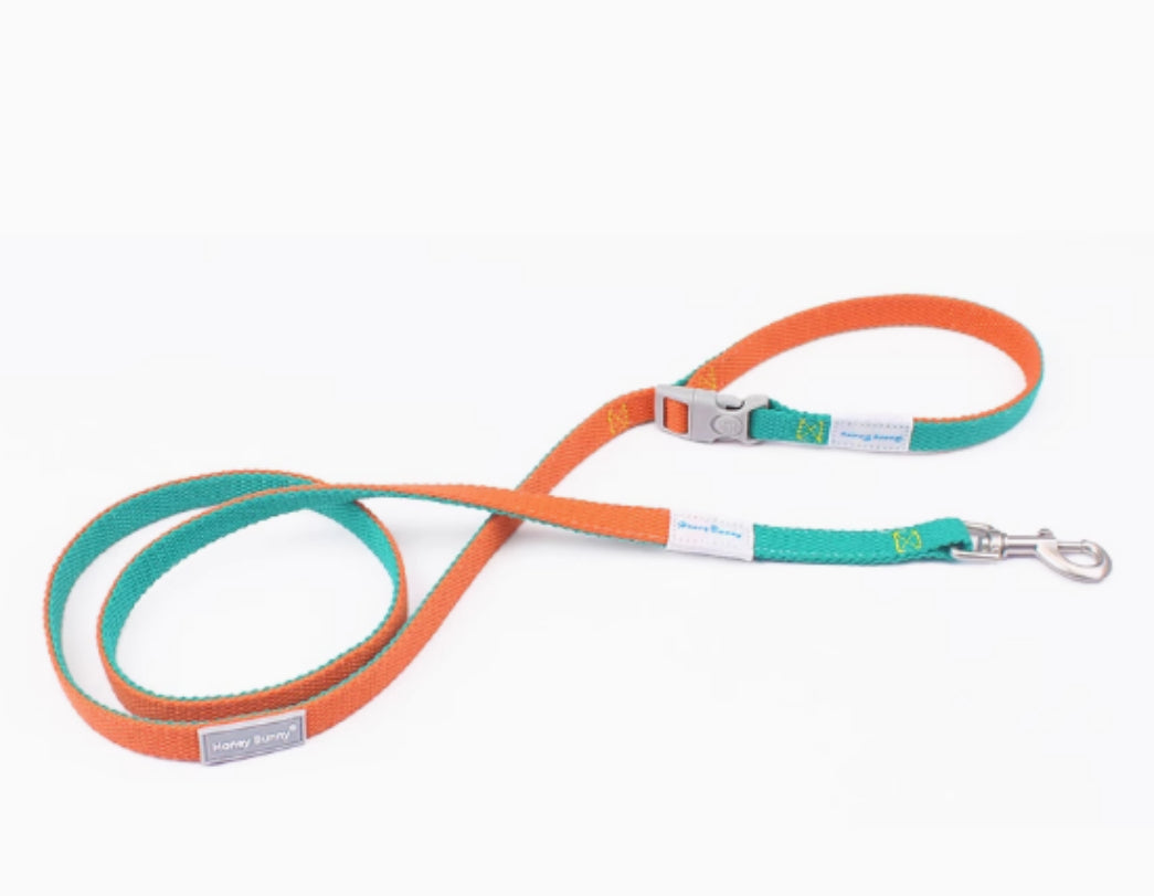 KFX-6866493 Contrast Color Vest-style Chest-back Traction Dog Leash for Pet Safety and Control