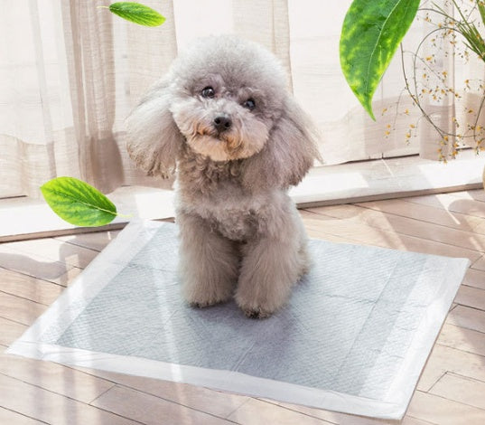 KFX-6866877 Pet Diapers - Non-Woven Material in Various Sizes (S, M, L, XL)