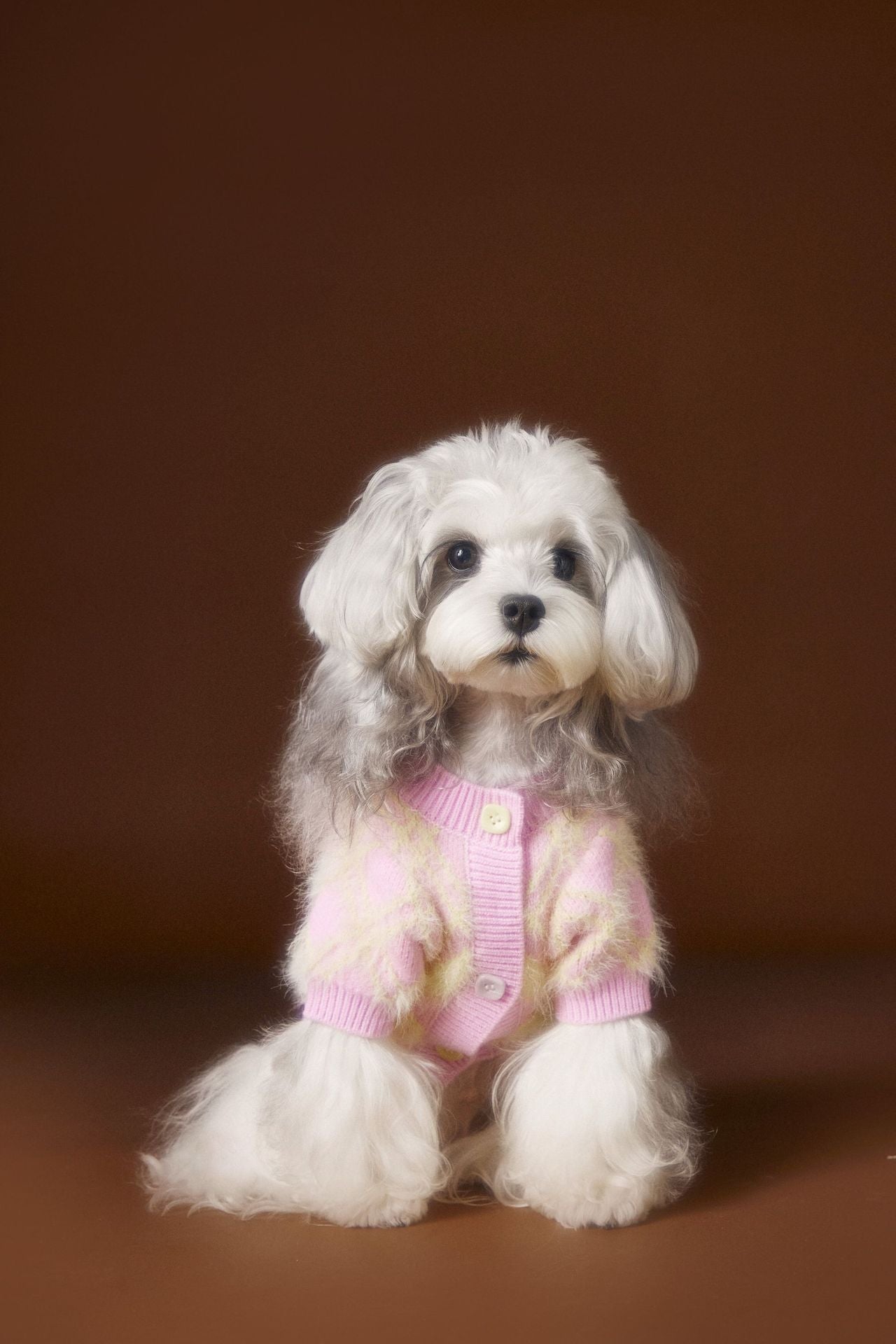 KFX-6869565 Schnauzer Teddy Bichon Casual Wool Cardigan Sweater for Pets