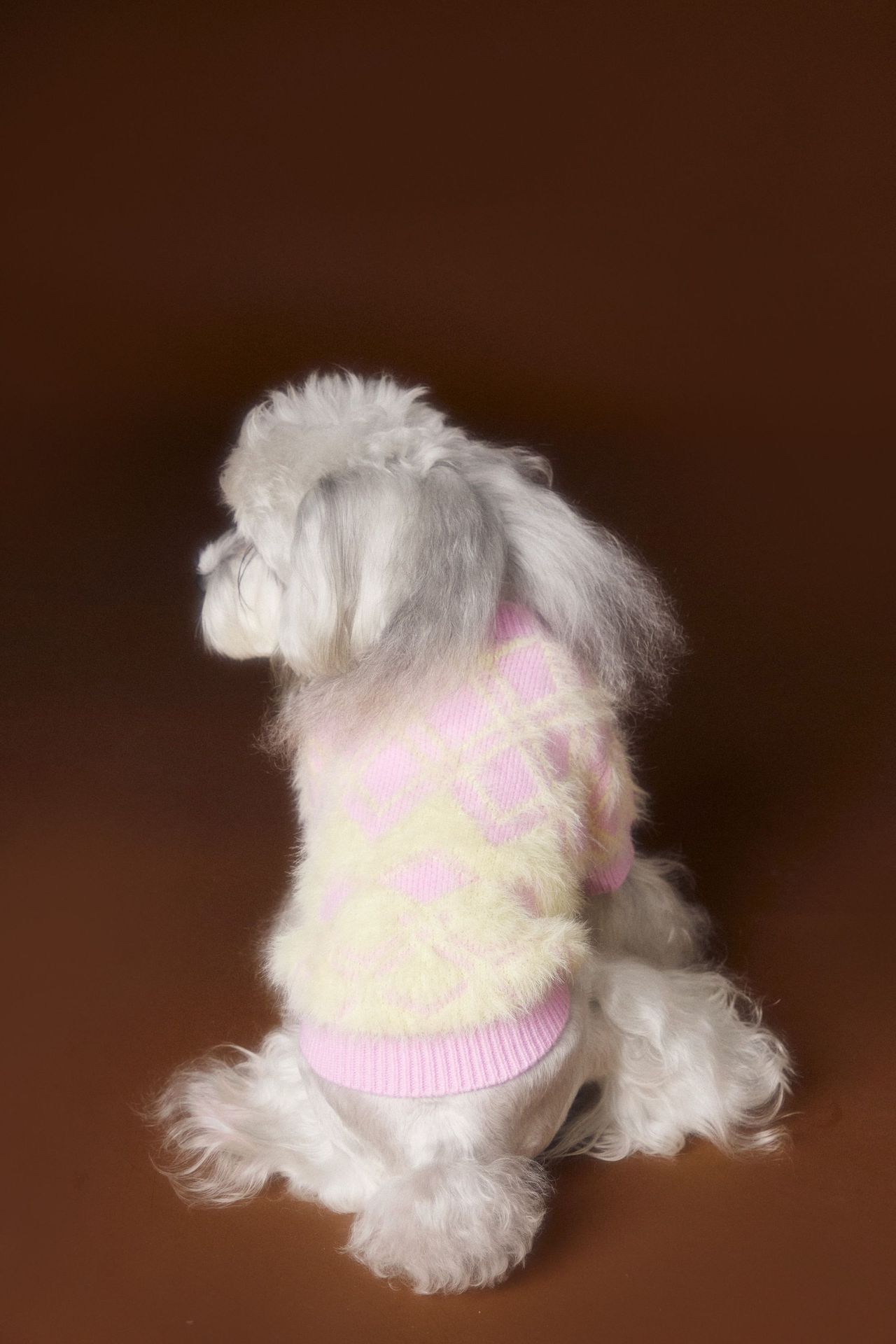 KFX-6869565 Schnauzer Teddy Bichon Casual Wool Cardigan Sweater for Pets
