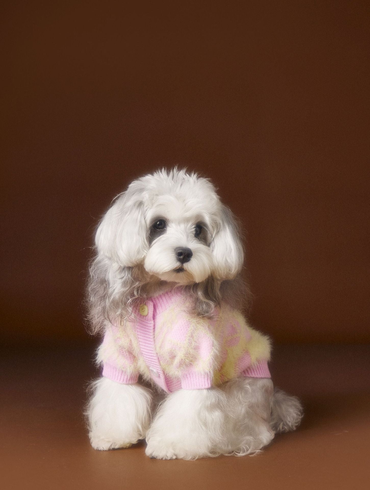KFX-6869565 Schnauzer Teddy Bichon Casual Wool Cardigan Sweater for Pets