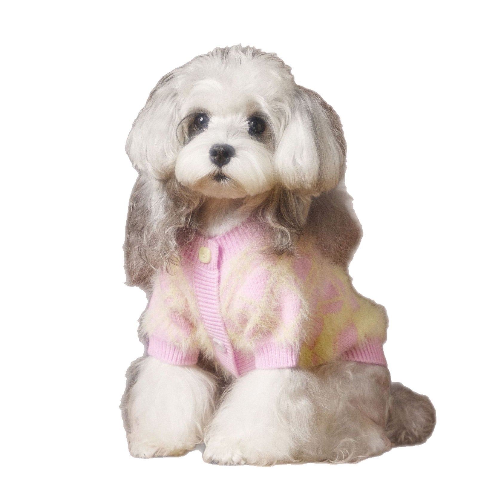 KFX-6869565 Schnauzer Teddy Bichon Casual Wool Cardigan Sweater for Pets