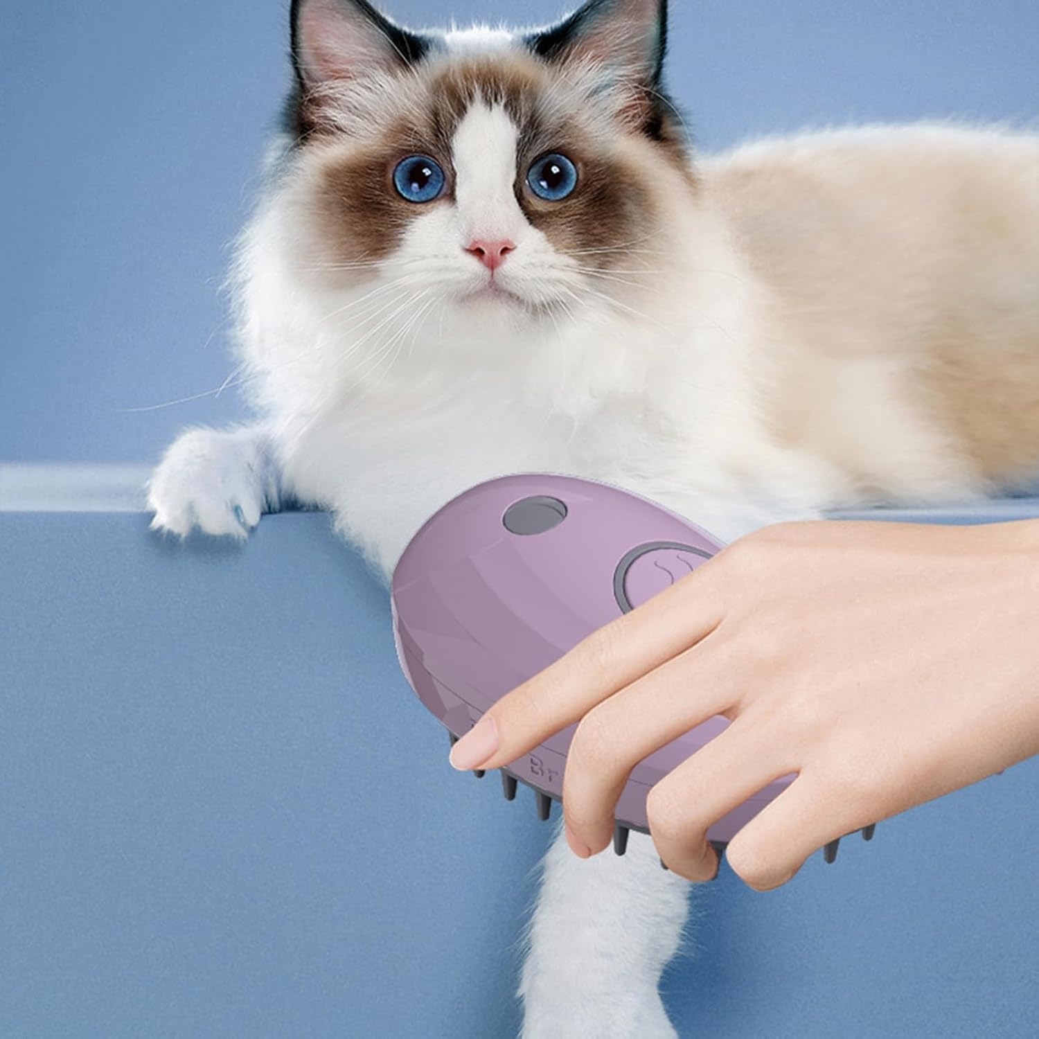 KFX-6872253 3-in-1 Whale-Shaped Cat Steam Brush for Grooming, De-Shedding, and Massage