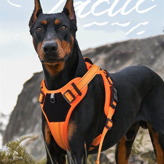 KFX-6873405 Durable Polyester Pet Harness with Anti-Breaking Hand-Hold Rope