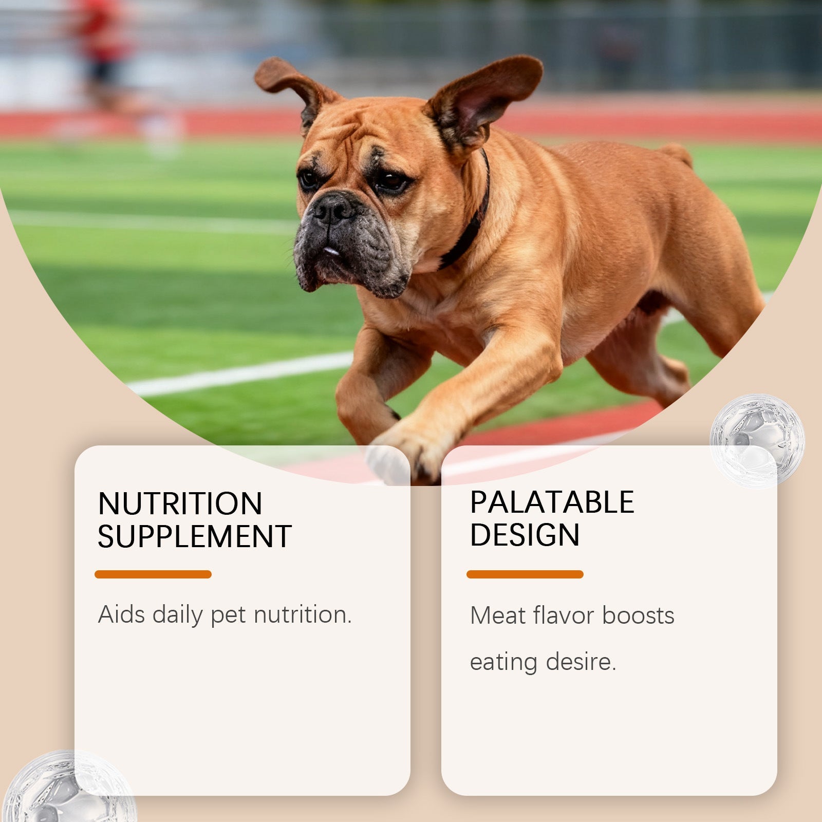 KFX-6876605 Turmeric Dog Supplement Soft Granules - Chicken & Beef Flavor with Nutrients