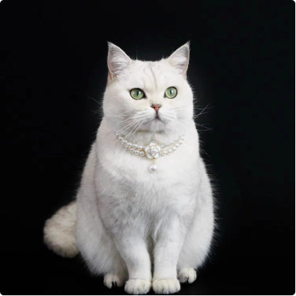 KFX-6879165 Elegant Cat Necklace with Water Drop Pendant in Assorted Styles and Sizes