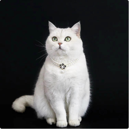 KFX-6879165 Elegant Cat Necklace with Water Drop Pendant in Assorted Styles and Sizes