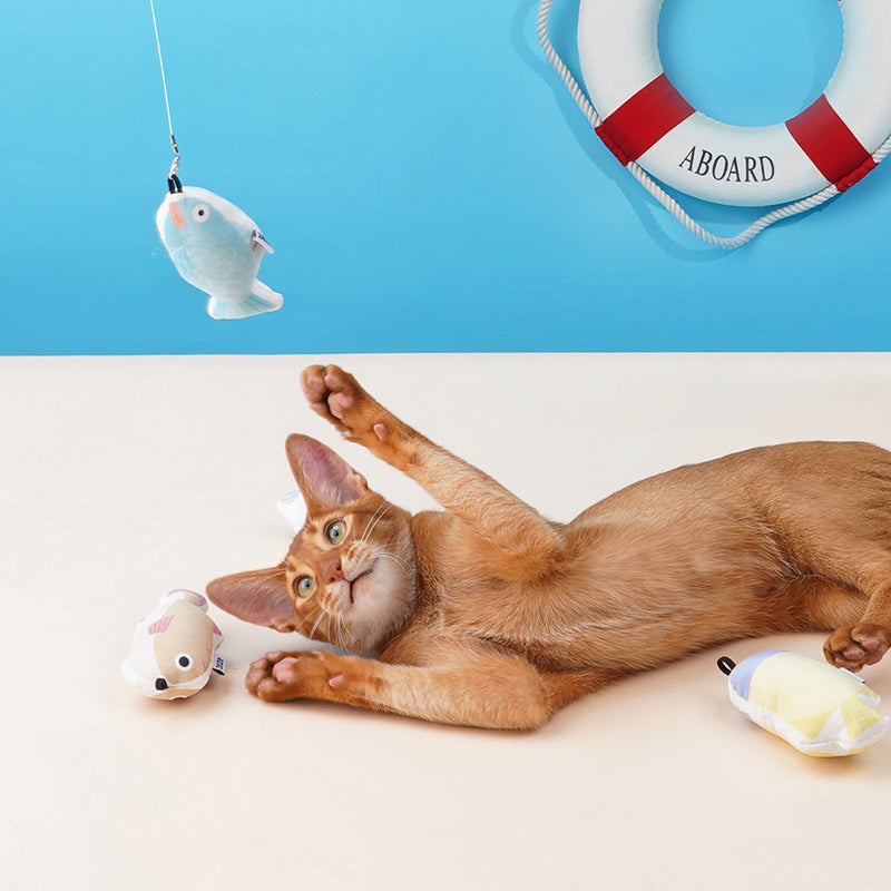 KFX-6887101 Retractable Cat Teaser Toy for Interactive Play and Chewing Fun