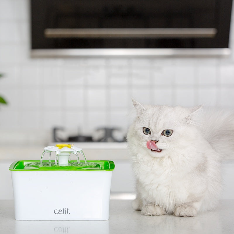 KFX-6888253 Cat Water Fountain with Dual Filtration System - Purifying, Oxygenating, and Flowing Water for Healthy Hydration