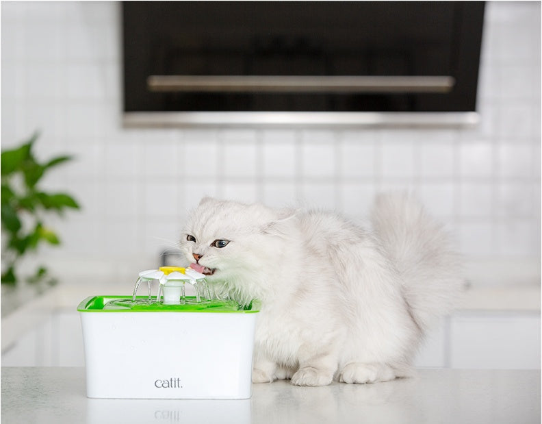 KFX-6888253 Cat Water Fountain with Dual Filtration System - Purifying, Oxygenating, and Flowing Water for Healthy Hydration