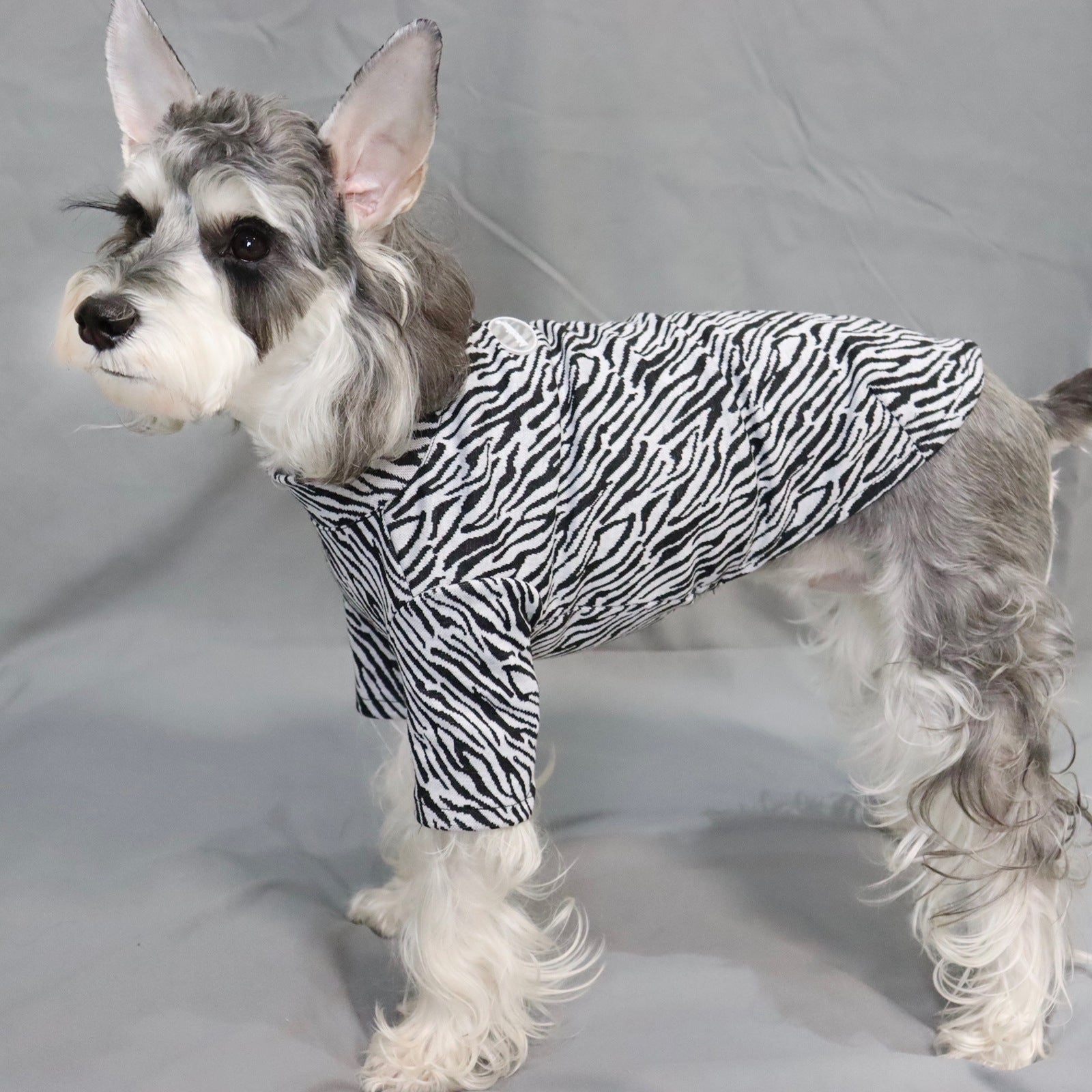 KFX-6888637 Warm Casual Slim Fit Pet Shirt - Brown & Grey Polyester Top