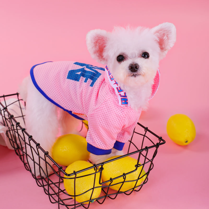 KFX-6890429 Lightweight Mesh Dog Vest with Hood - Breathable Summer Shirt for Small Dogs